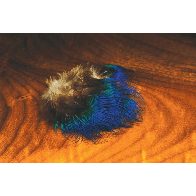 HARELINE BLUE PEACOCK FEATHERS