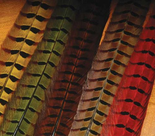 Hareline Dubbin Ringneck Pheasant Tail Feathers - Fly and Field Outfitters - Online Flyfishing Shop