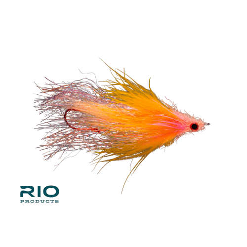 rio's checkmate orange