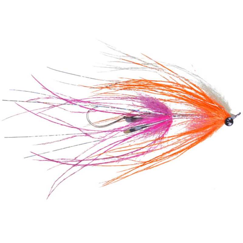 aqua flies jerrys intruder pink orange