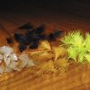 Hareline Dubbin CDC Oiler Puffs - Fly and Field Outfitters - Online Flyfishing Shop