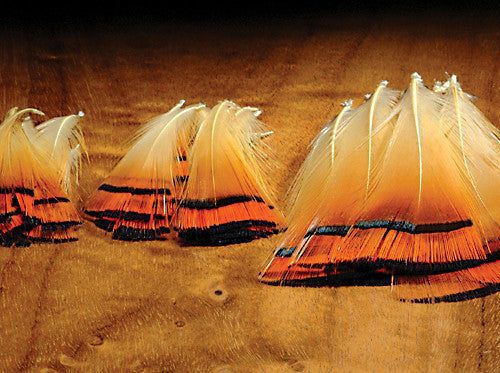 Hareline Dubbin Golden Pheasant Tippets - Fly and Field Outfitters - Online Flyfishing Shop