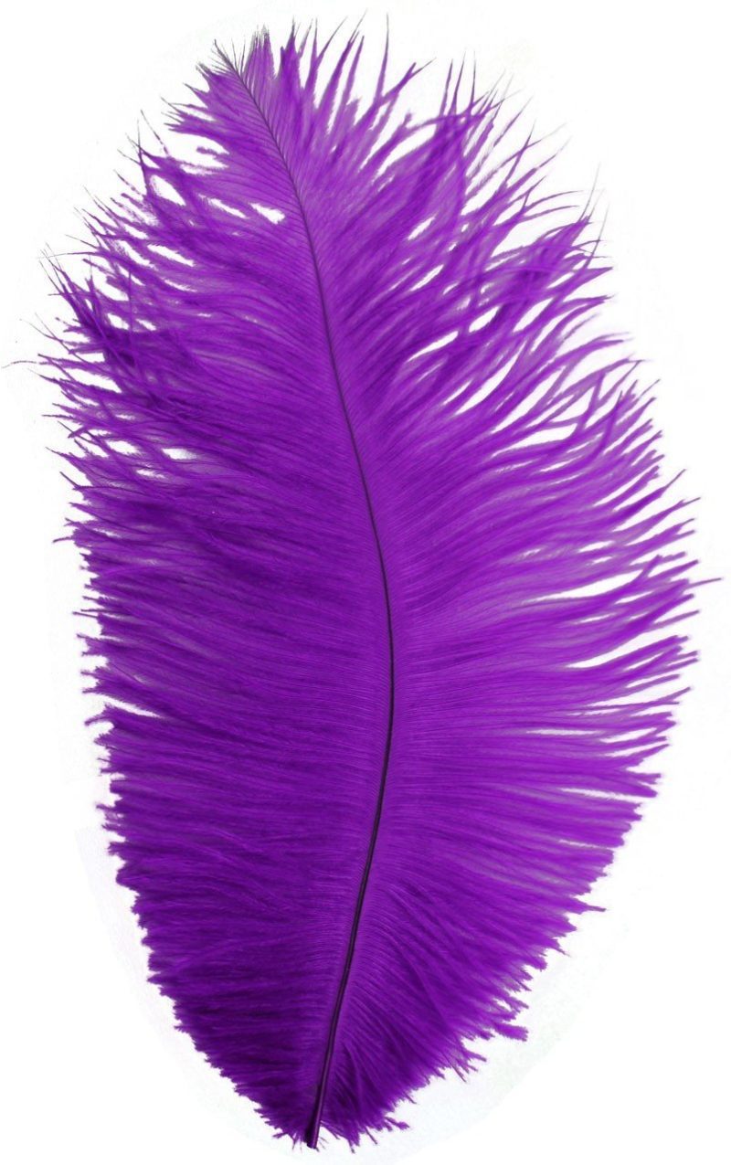 p 5789 ost 091 big bird ostrich plumes purple 1