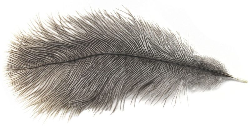 p 5853 most 063 big bird ostrich plumes mini plumes natural grey 2