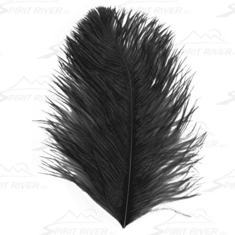 spirit river ostrich plume